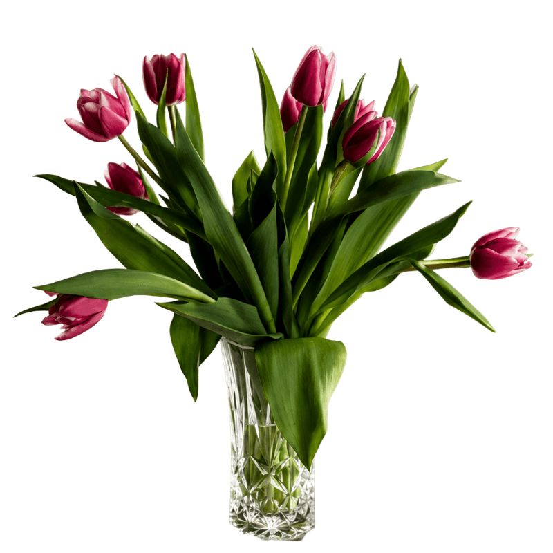 The Tilted Tulip