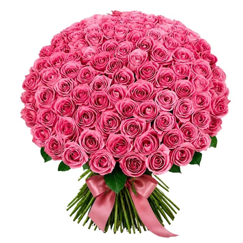 Passionate Pink Petals