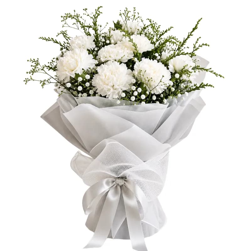 Charming Carnations