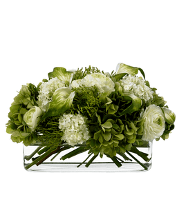 A Walk in the Garden