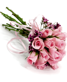 Unforgettable Pink Roses