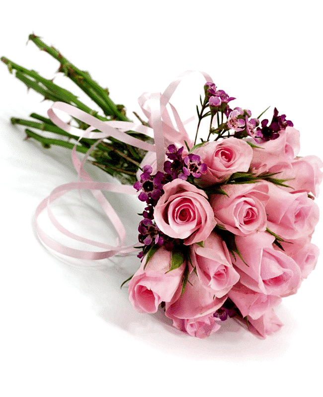 Unforgettable Pink Roses