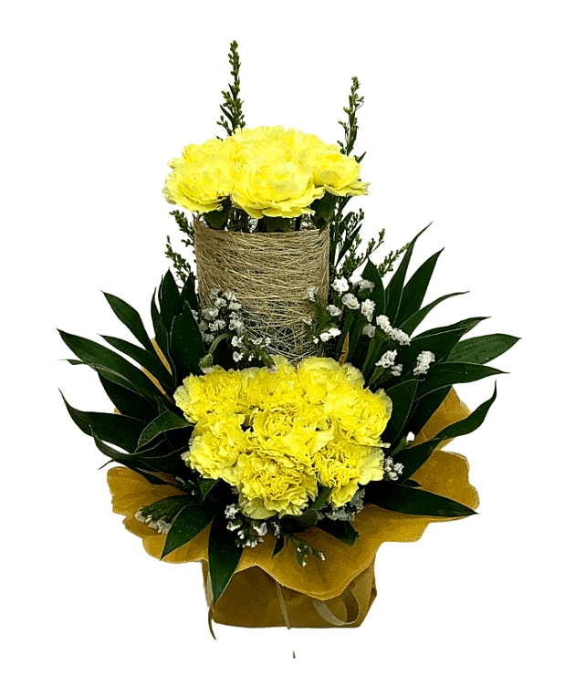 Clustered Carnations