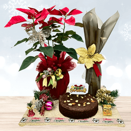 The Christmas Basket