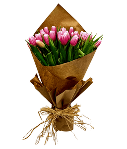 Stunning Pink Tulips