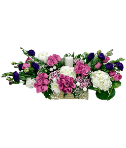 Velvet Veil of Violets