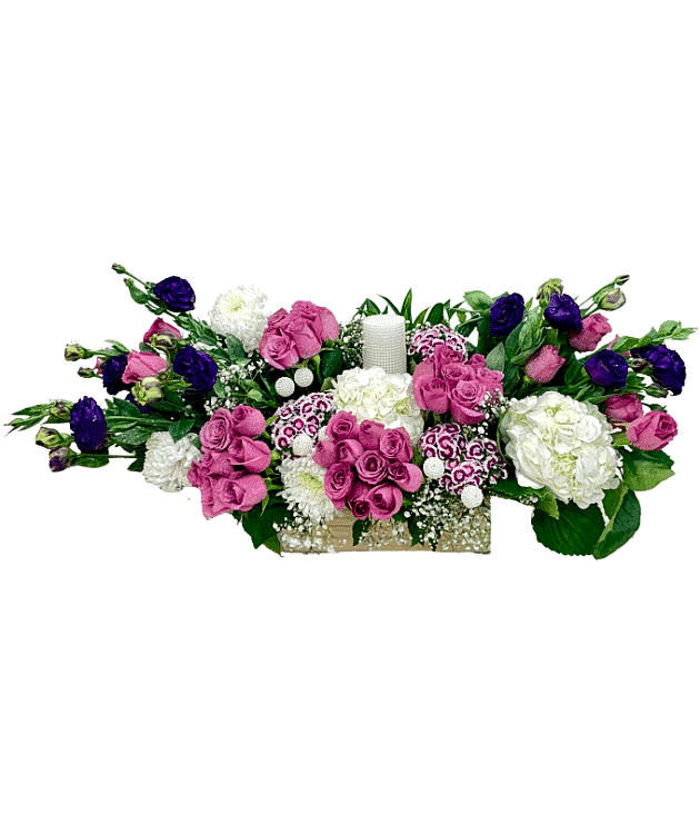 Velvet Veil of Violets