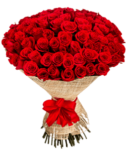 Romantic Red Elegance