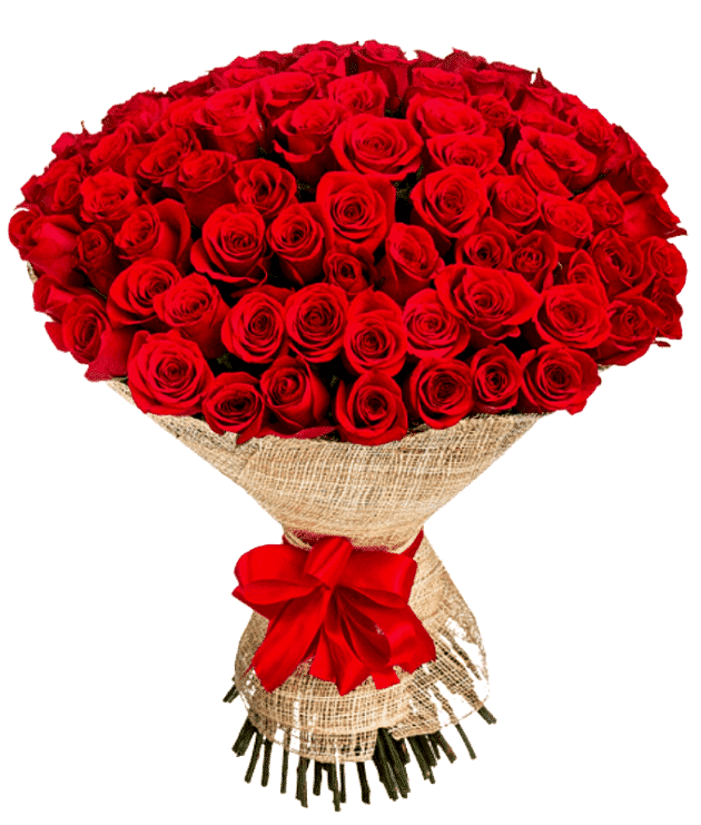 Romantic Red Elegance