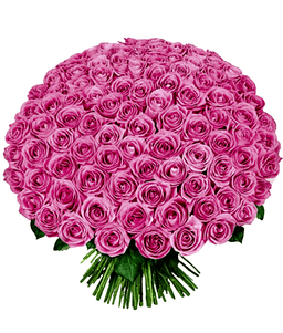 Passionate Pink Petals