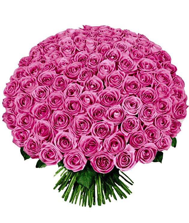 Passionate Pink Petals