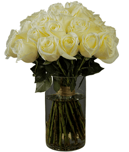 Pure Elegance in Ivory