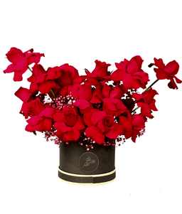 Raspberry Rose Reverie