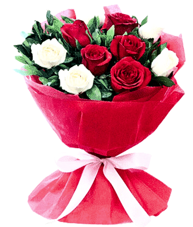 Whispers of Winter Roses