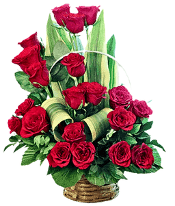 Garden of Roses Glory