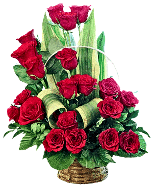 Garden of Roses Glory