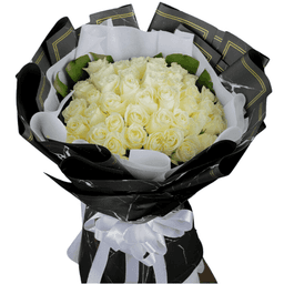 Diamond Dewdrop Dreams