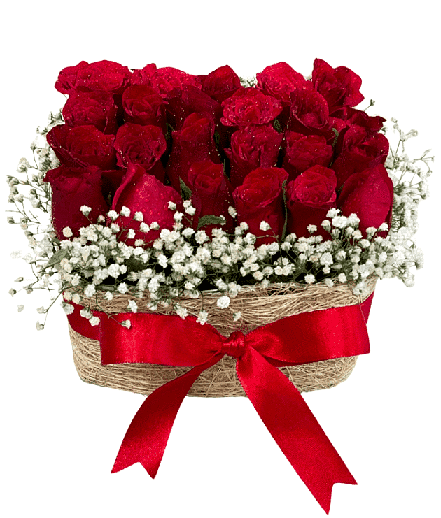 Mystic Midnight Roses