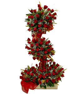 Velvet Veil of Roses