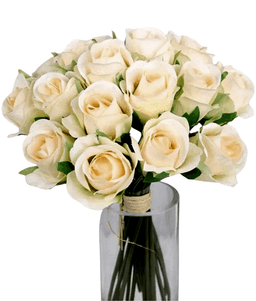 Blossom Blush Serenity