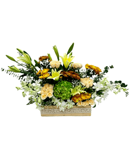 Golden Harmony Arrangement