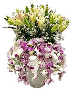 Elegant Orchid Lily Fusion