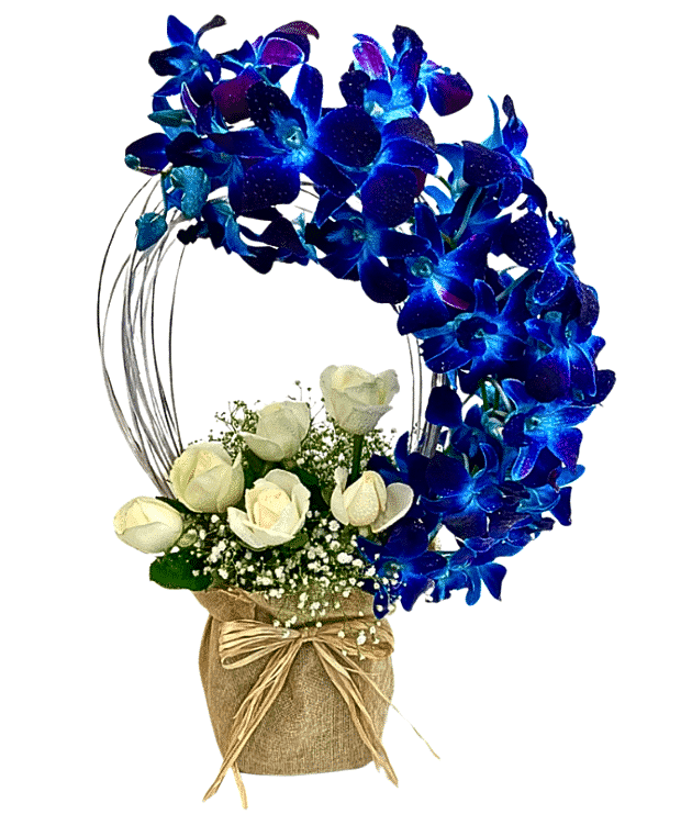 Stunning Blue Orchid Arc
