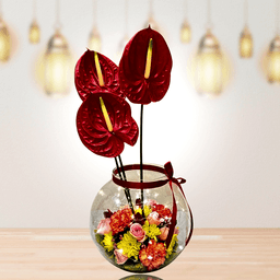 Radiant Diwali Bloom