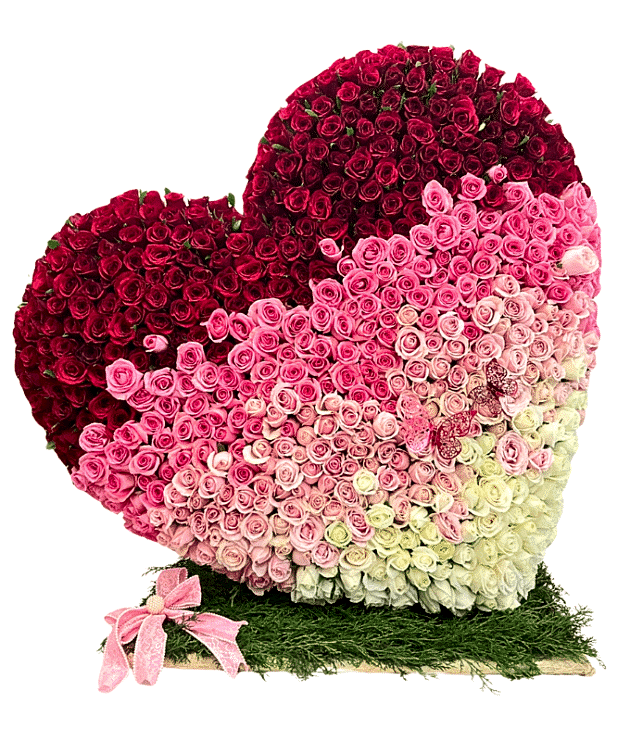 Ombre Roses Heart