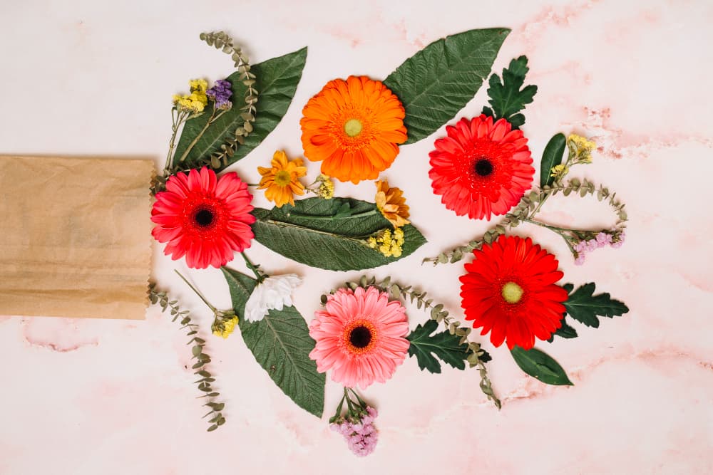 Eco-Friendly Flower Delivery in Navi Mumbai: Sustainable & Fresh Floral Choices