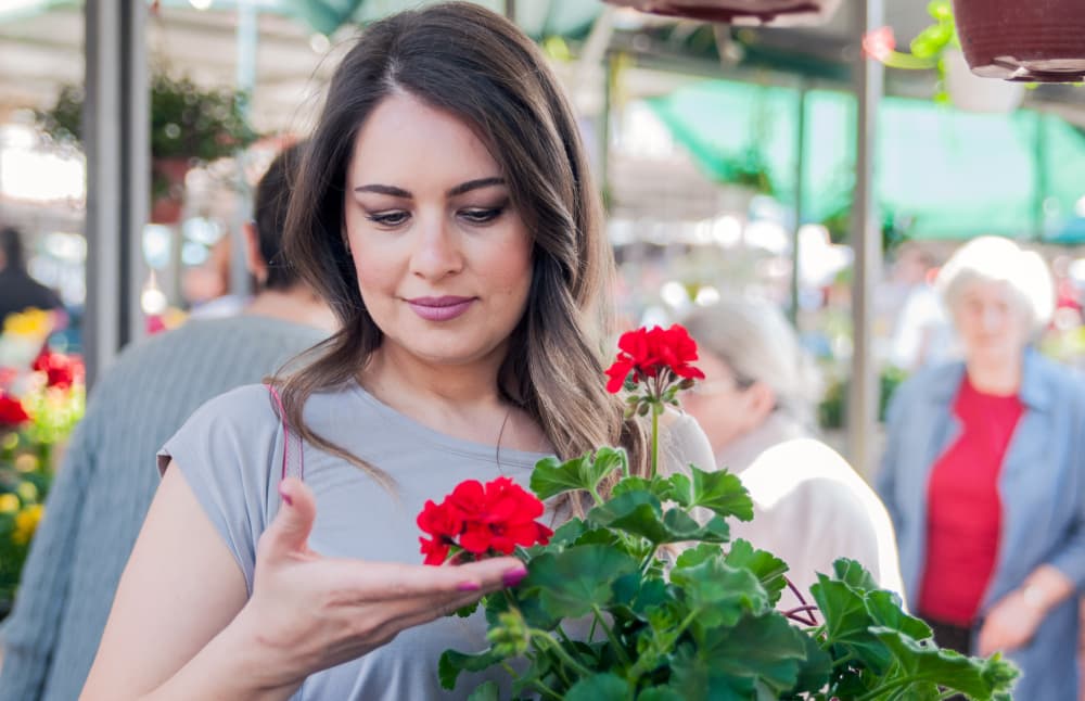 Top Romantic Flowers for Love & Relationships (Meaning + Gifting Guide)