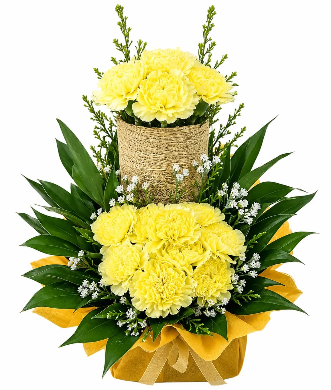 Clustered Carnations