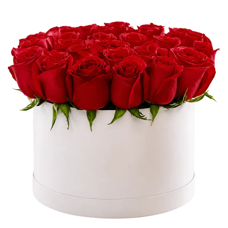 Everlasting Roses