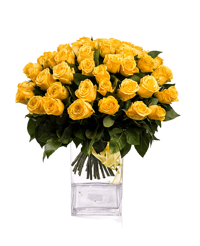 Sunshine Yellow Roses