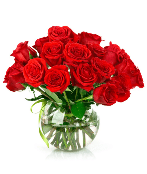 Red Roses in vase