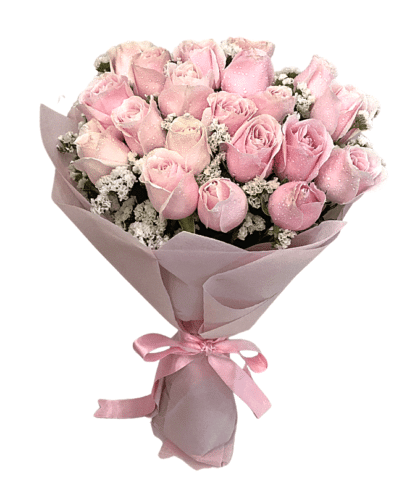 Sweet Pink Roses Handbunch