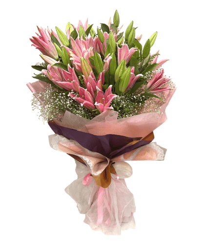 Pink Lilies Handbunch