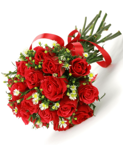 Red Roses with White Flowers