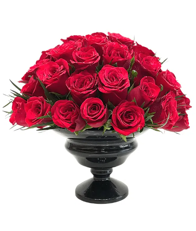 Red Roses in Black Vase