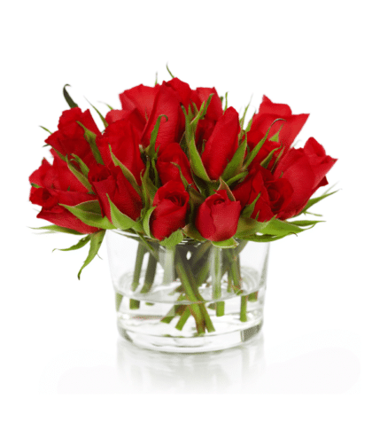 Red Roses in Glass Vase