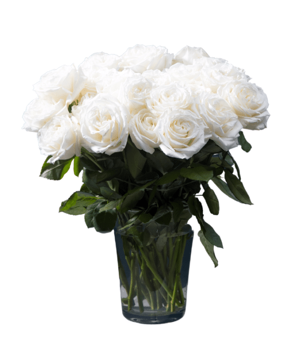 Peaceful White Roses in Glass Vase