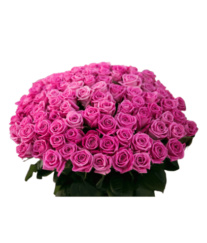 Elegant Pink Roses Bouquet