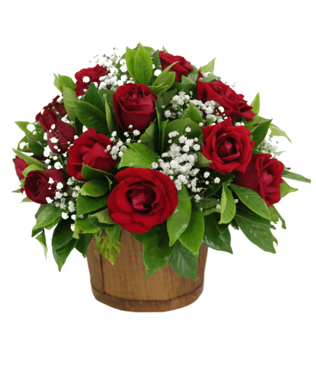 Red Roses and Baby's Breath Arrangement