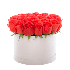 Salmon Roses Bouquet