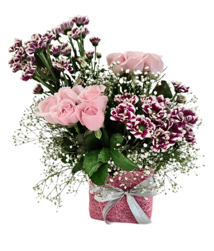 Sweet pink roses,purple shaded chrysanthemums