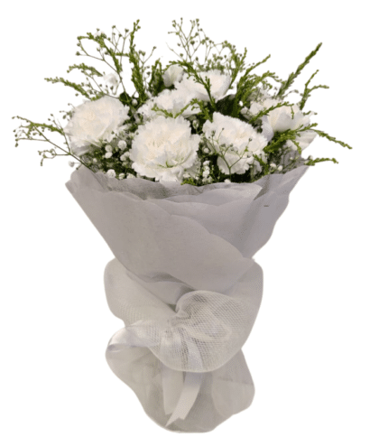 White Carnations