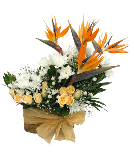 Bird of paradise,peach roses,white chrysanthemums