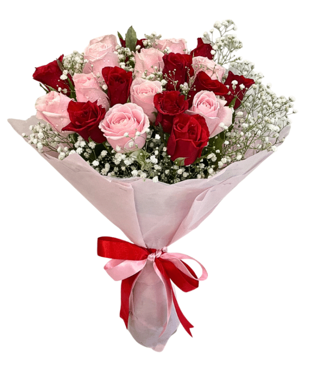Sweet pink roses,red roses 