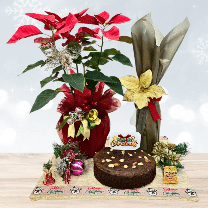 Christmas gift,Christmas wine.Christmas cake,Christmas plant