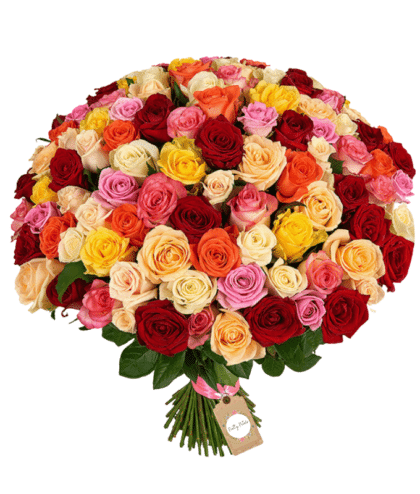 Mixed colorful roses hand bouquet